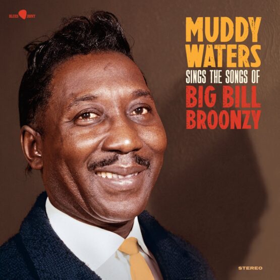 Muddy Waters – Muddy Waters Sings The Songs Of Big Bill Broonzy
