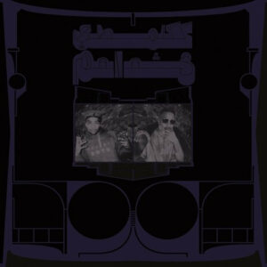 Shabazz Palaces – Exotic Birds of Prey