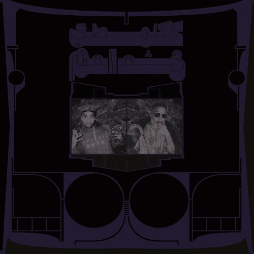 Shabazz Palaces – Exotic Birds of Prey
