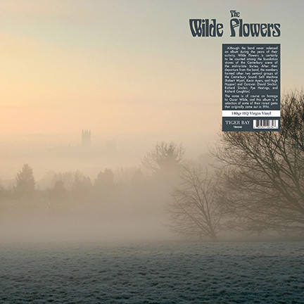 The Wilde Flowers – The Wilde Flowers