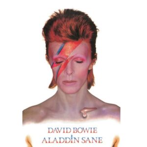 ALADDIN SANE POSTER