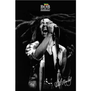 Bob Marley Shout Poster