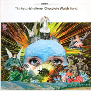 CHOCOLATE WATCH BAND
