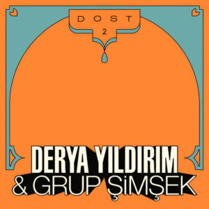 Derya Yıldırım, Grup Şimşek – Dost 2