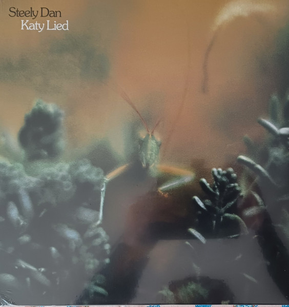 KATY LIED