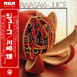 Ryo Kawasaki - Juice