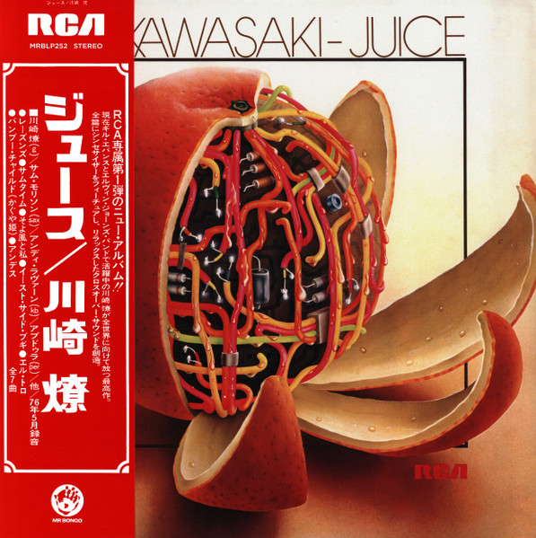 Ryo Kawasaki - Juice
