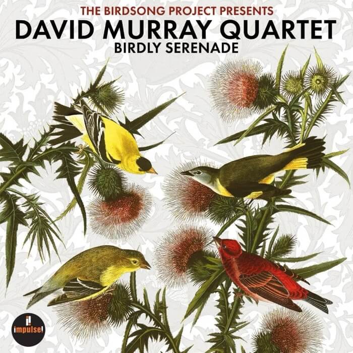 DAVID MURRAY
