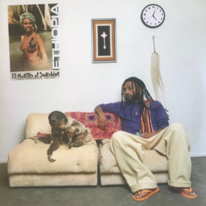 Aminé – 13 Months Of Sunshine