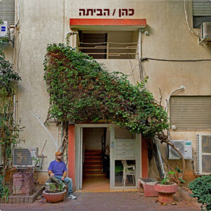 cohen habaita