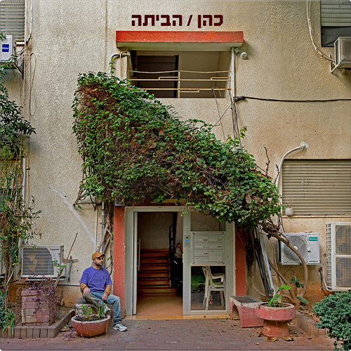 cohen habaita