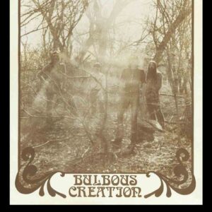 Bulbous Creation – You Won't Remember Dying (Vinyl)