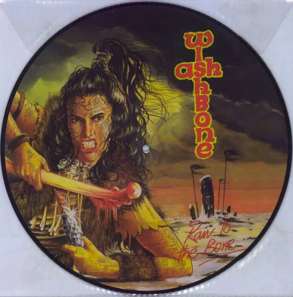 Wishbone Ash – Raw To The Bone (Picture Disc Vinyl)