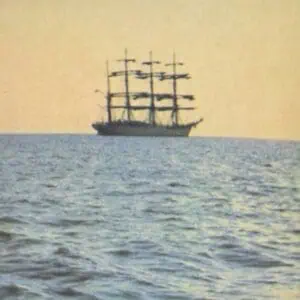 Smog – The Doctor Came At Dawn