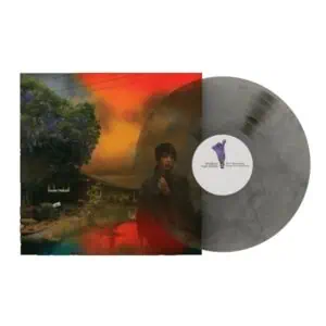 Sharon Van Etten – We've Been Going About This All Wrong (Marble Smoke Vinyl)