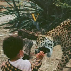 Unknown Mortal Orchestra – V (2LP Vinyl)