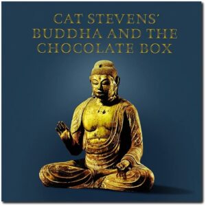 Cat Stevens - Buddha And The Chocolate Box (50th Anniversary Vinyl)