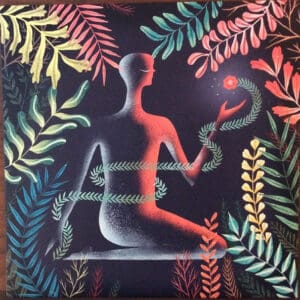 Loma – Don't Shy Away (Colored Vinyl)