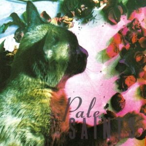 Pale Saints – The Comforts Of Madness (Vinyl)