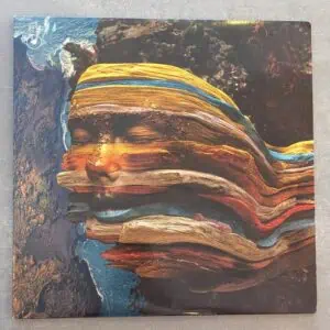 Bjork – Bastards: 2LP 2012 UK Press Vinyl (יד שנייה)
