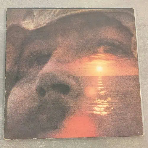 David Crosby – If I Could Only Remember My Name